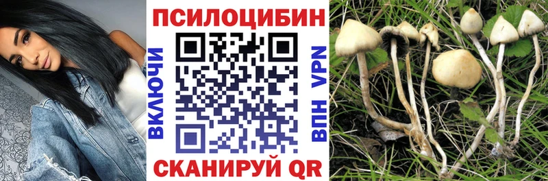 как найти наркотики  OMG как войти  Псилоцибиновые грибы мухоморы  Кыштым 